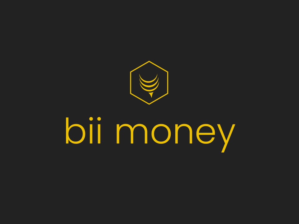 Logo bii money